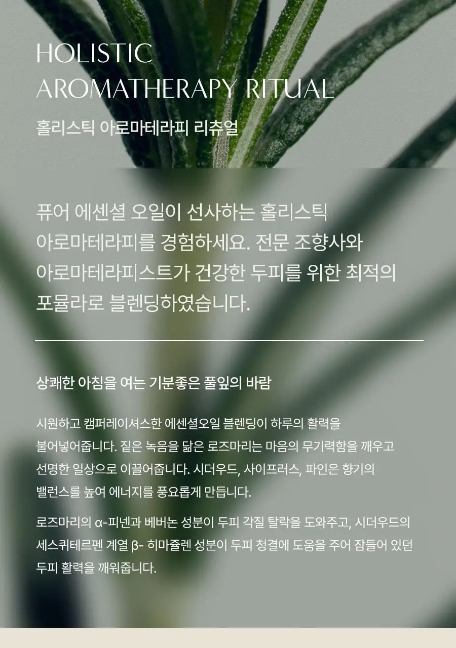 [두피항산화/두피소금스크럽] 아로마티카 탈모증상완화 로즈마리 스칼프 스크럽 165g 상세페이지 10